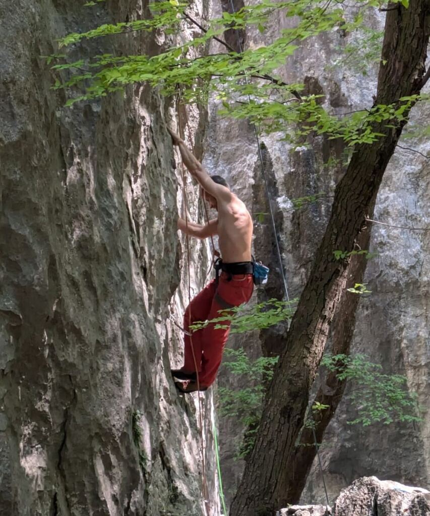Mattia Filippi arrampica su una parete di calcare, tra gli alberi